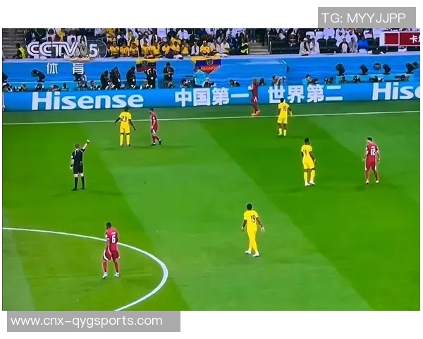 2010世界杯足球盛宴回顾：激情与荣耀交织的南非之旅